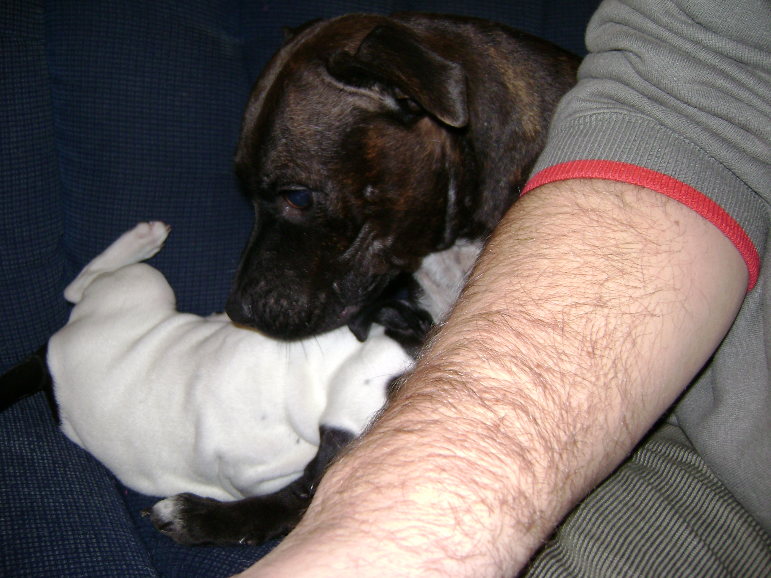 DSC00067.JPG