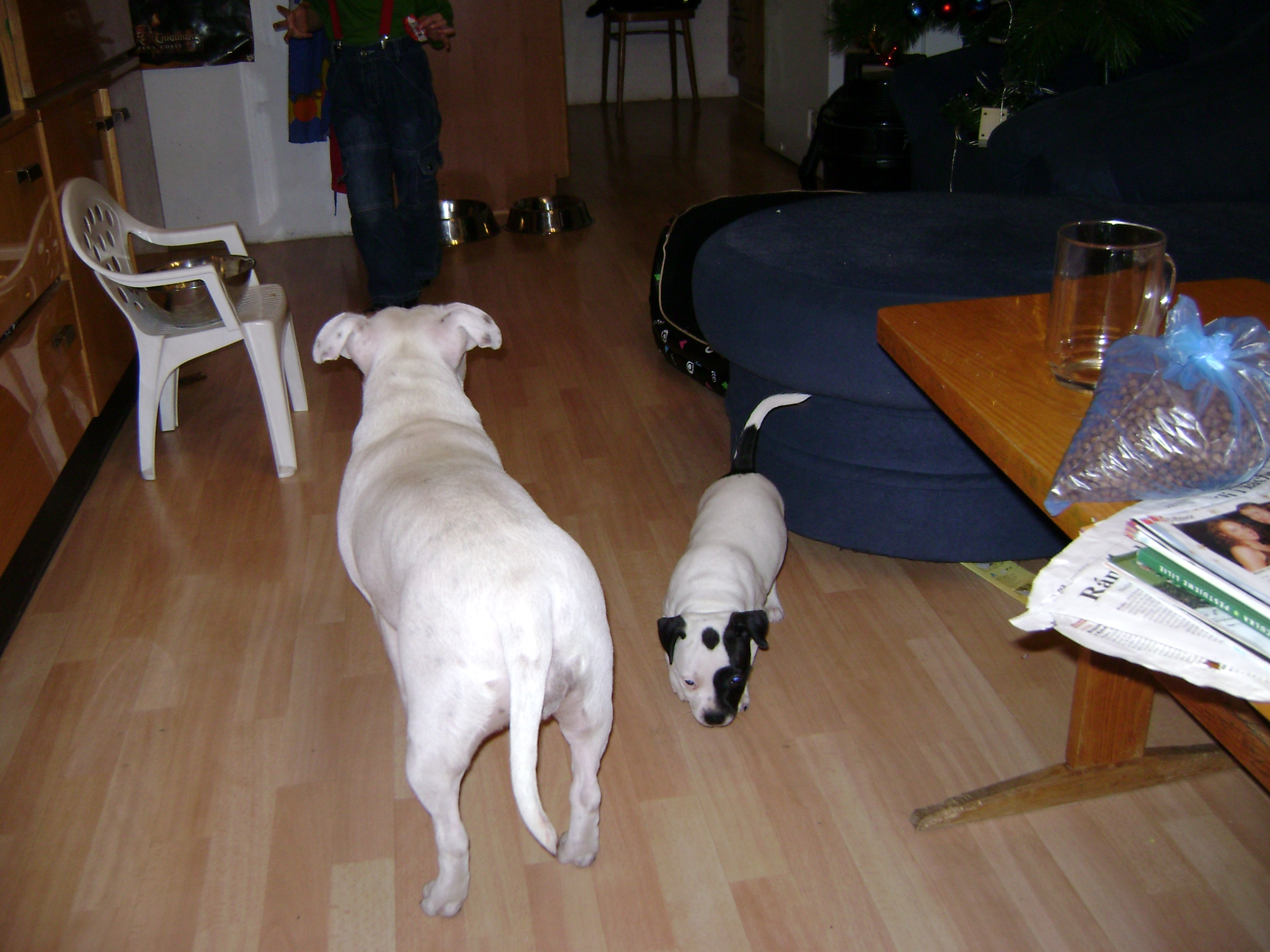 DSC00071.JPG